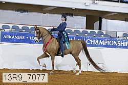 13r9_7077 proof