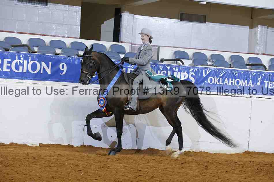 Proof 13r9_7078