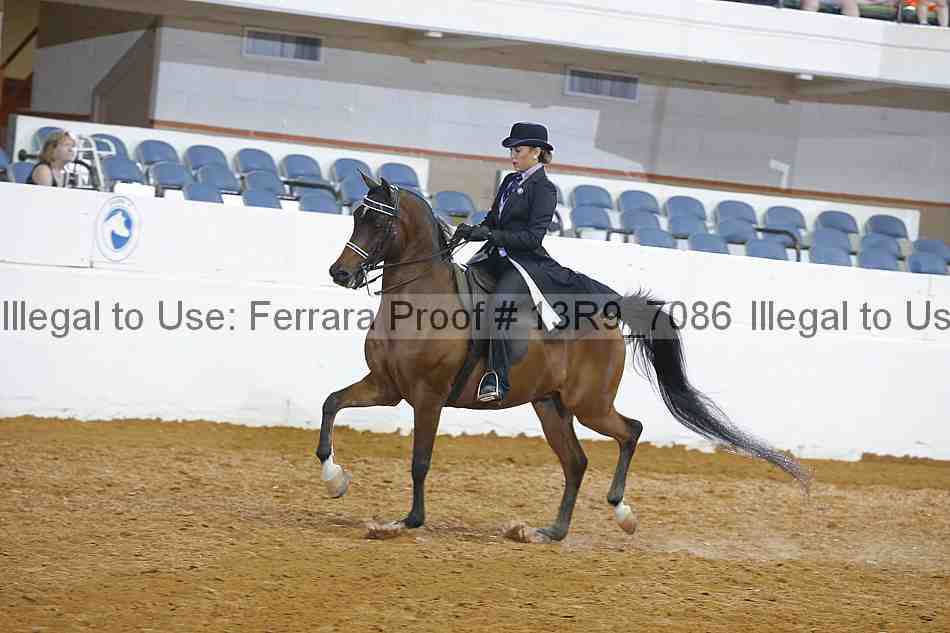 Proof 13r9_7086