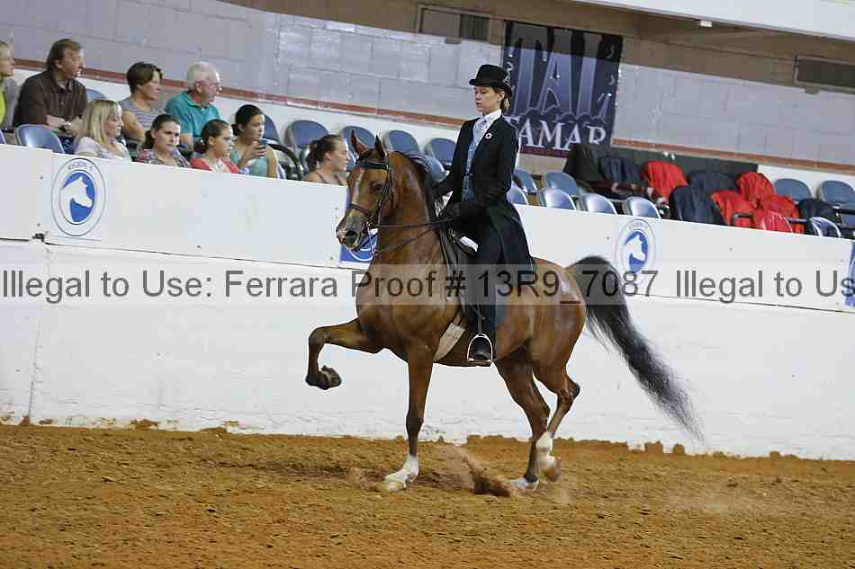 Proof 13r9_7087