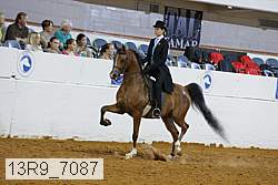 13r9_7087 proof