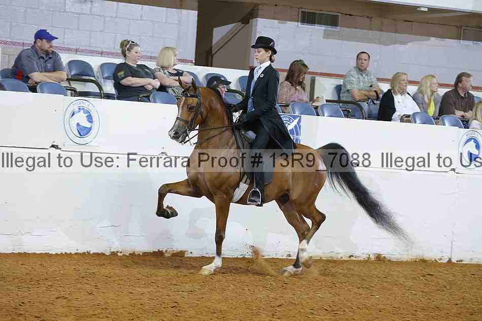 Proof 13r9_7088
