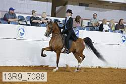 13r9_7088 proof