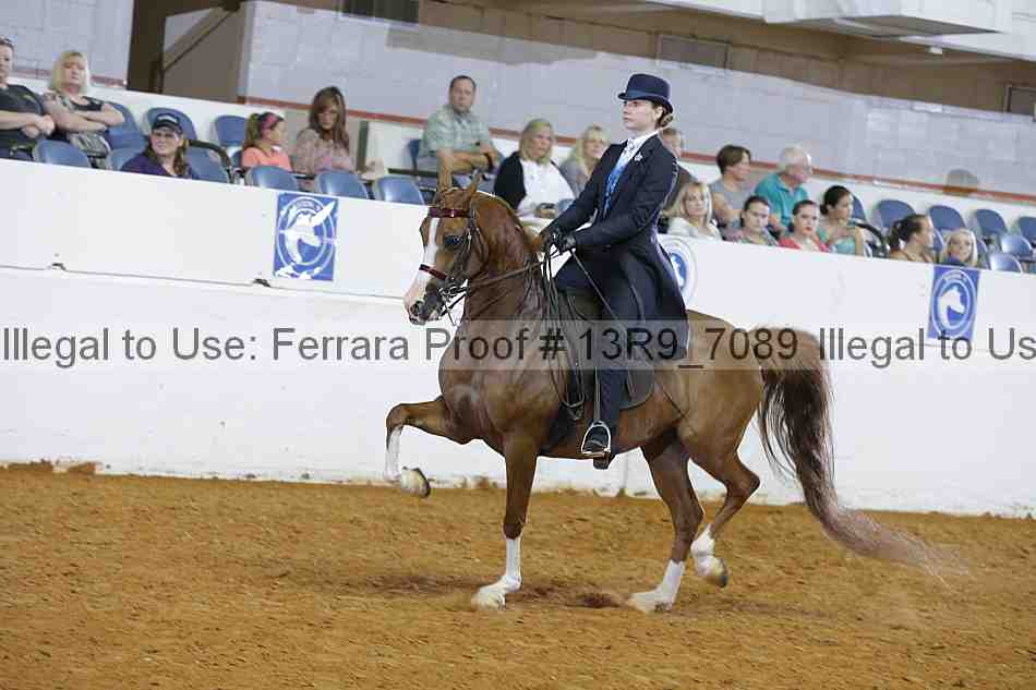 Proof 13r9_7089