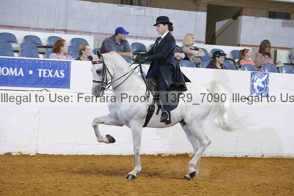 Proof 13r9_7090