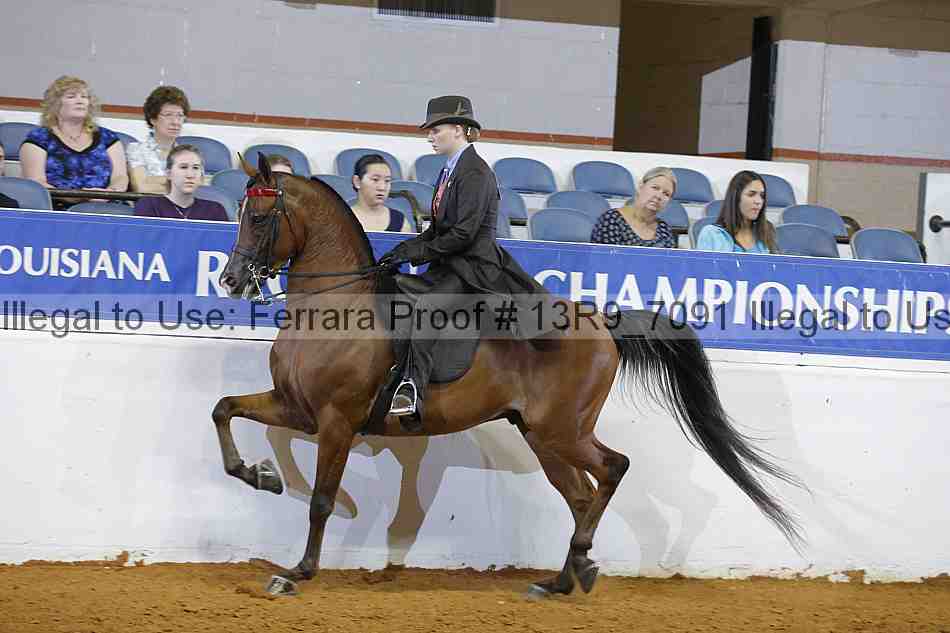 Proof 13r9_7091