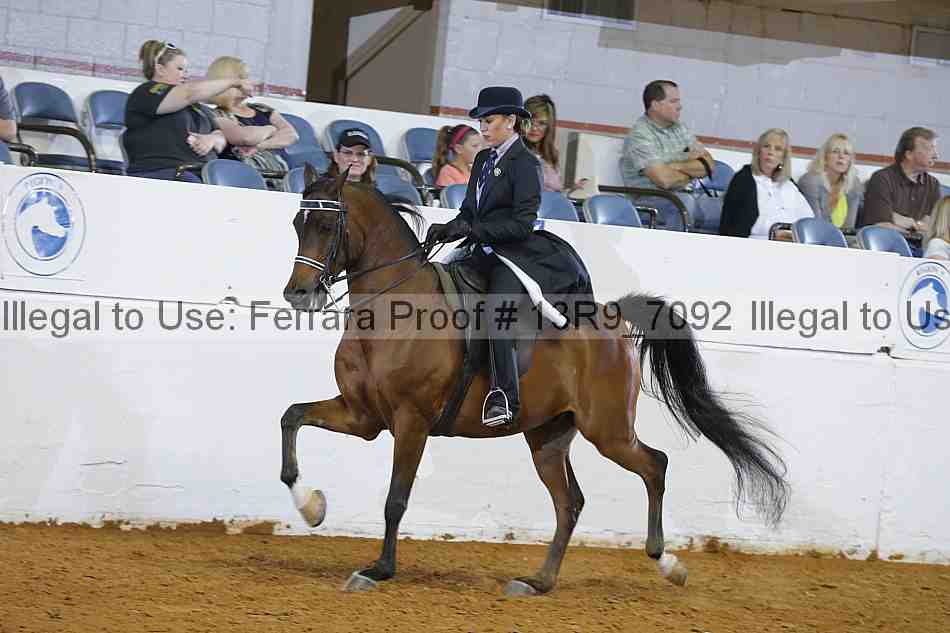 Proof 13r9_7092