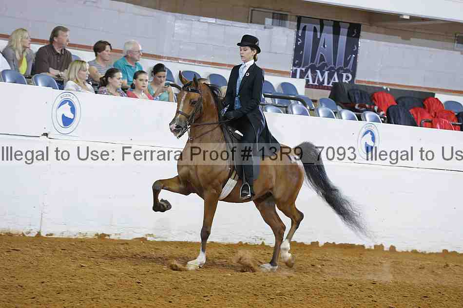 Proof 13r9_7093
