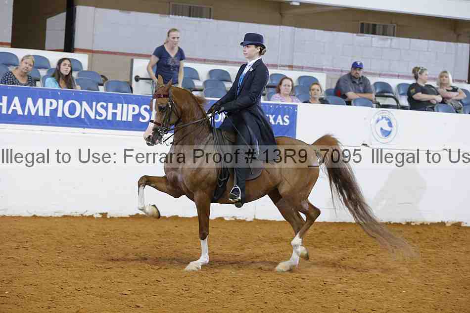 Proof 13r9_7095