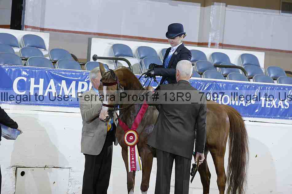 Proof 13r9_7097