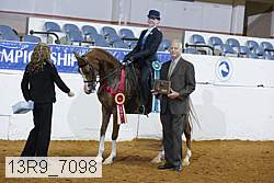 13r9_7098 proof