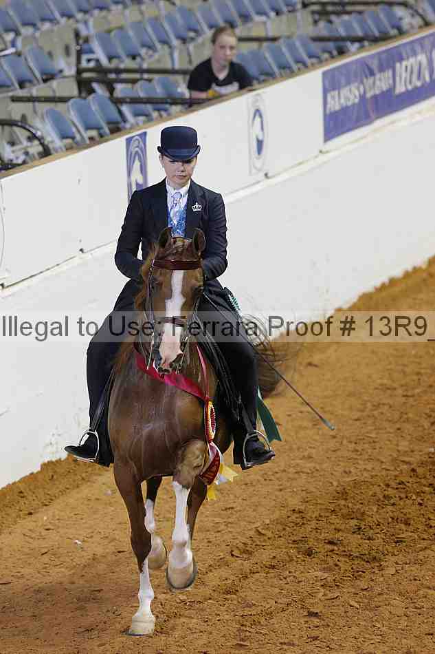Proof 13r9_7099