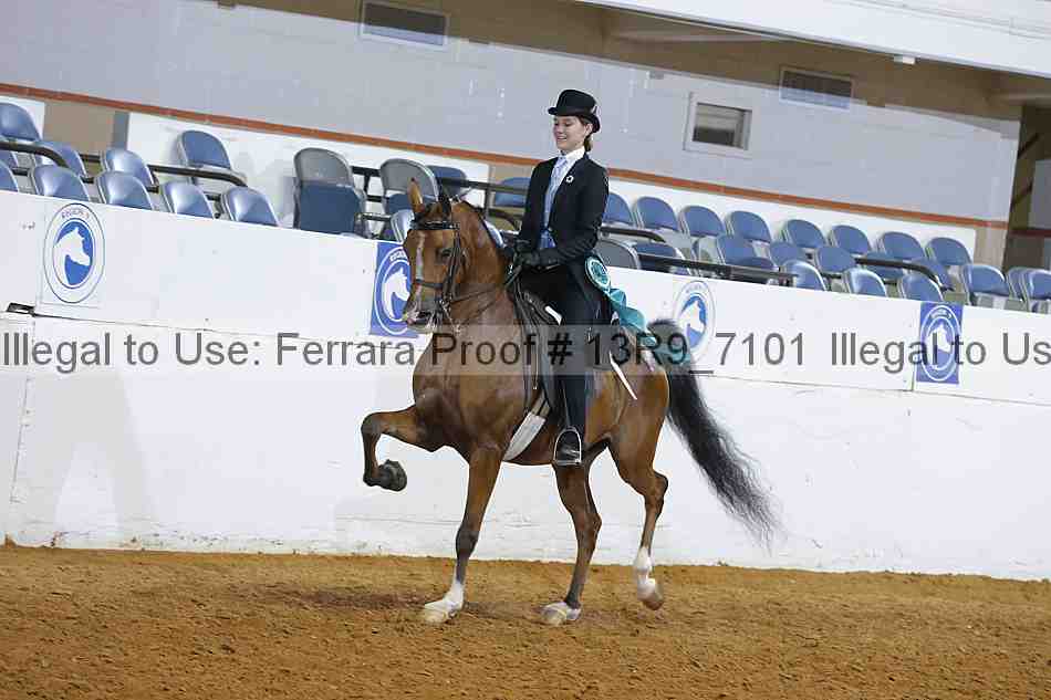 Proof 13r9_7101