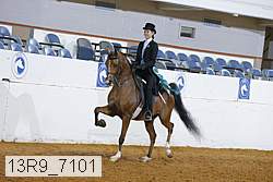 13r9_7101 proof