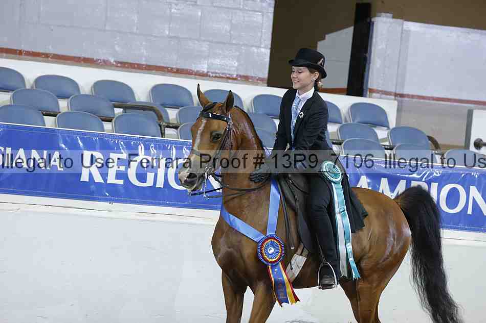 Proof 13r9_7106