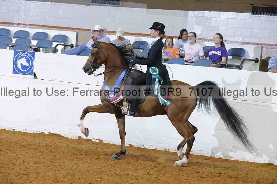 Proof 13r9_7107