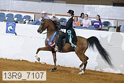 13r9_7107 proof