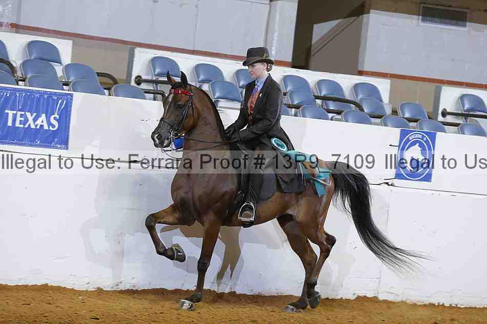 Proof 13r9_7109