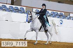 13r9_7115 proof