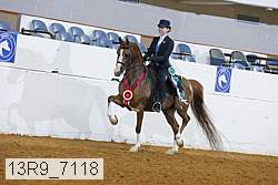 13r9_7118 proof