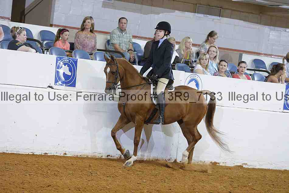 Proof 13r9_7133