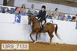 13r9_7133 proof