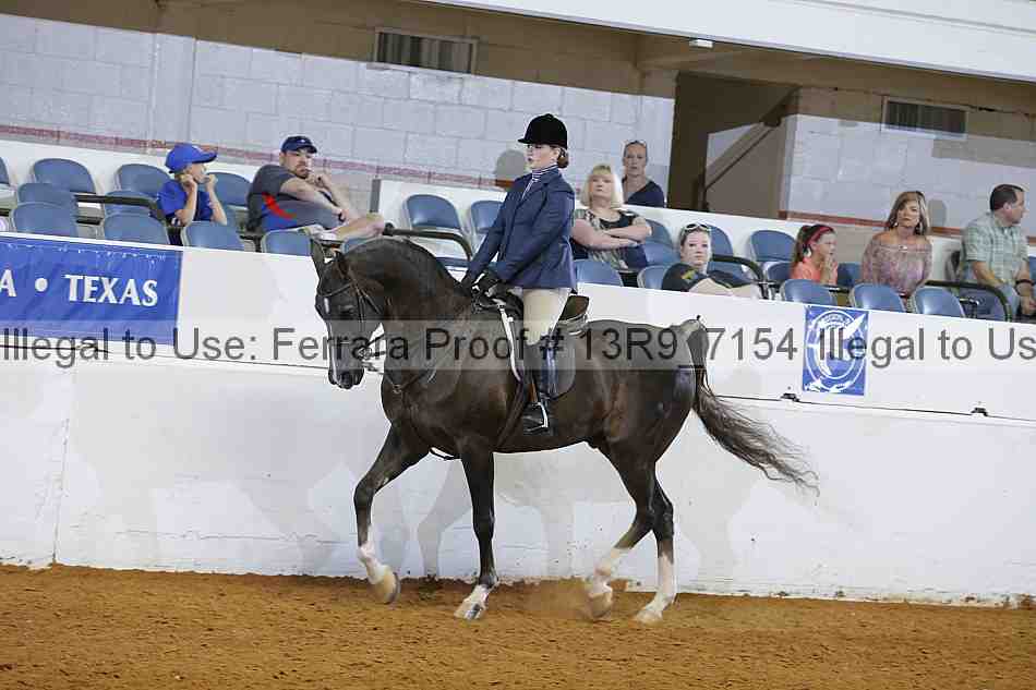 Proof 13r9_7154