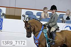13r9_7172 proof