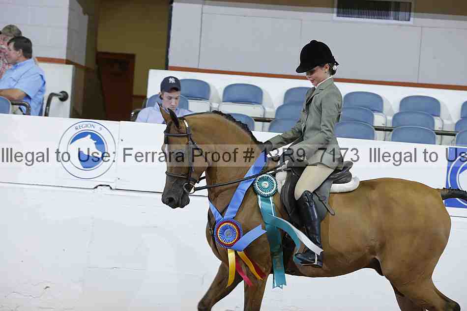 Proof 13r9_7173