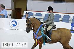 13r9_7173 proof