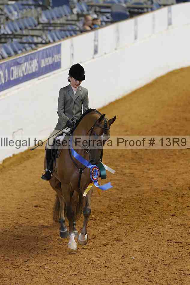Proof 13r9_7175