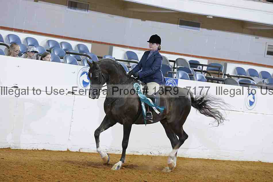 Proof 13r9_7177