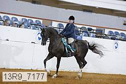 13r9_7177 proof
