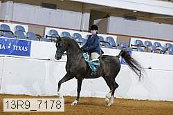 13r9_7178 proof