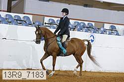 13r9_7183 proof