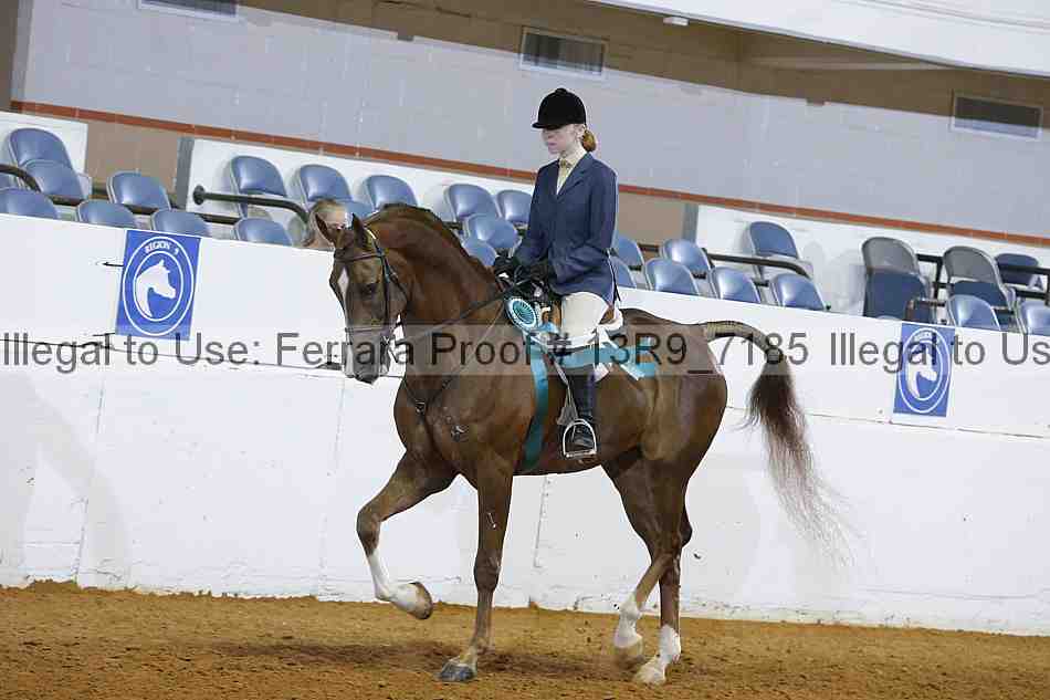 Proof 13r9_7185