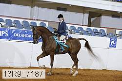 13r9_7187 proof