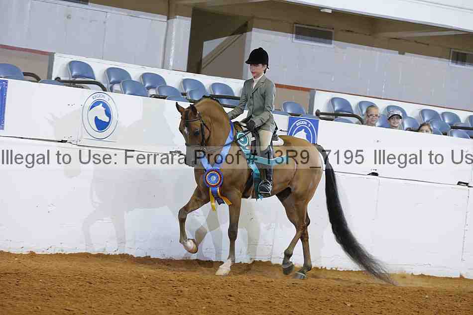 Proof 13r9_7195