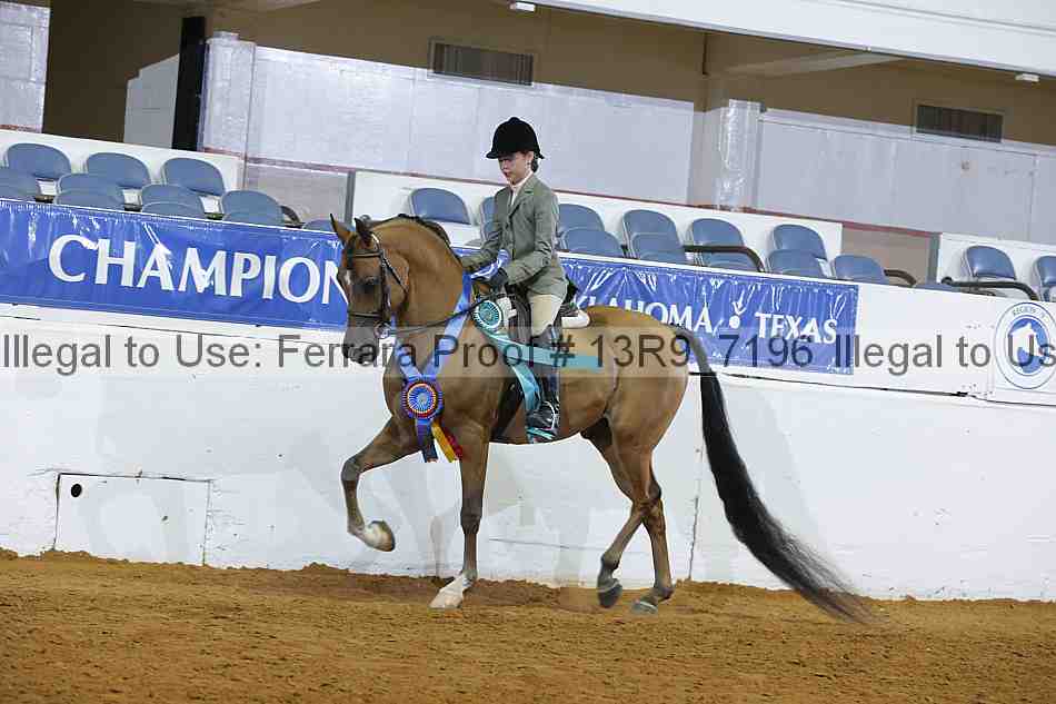 Proof 13r9_7196