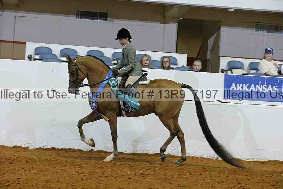 Proof 13r9_7197
