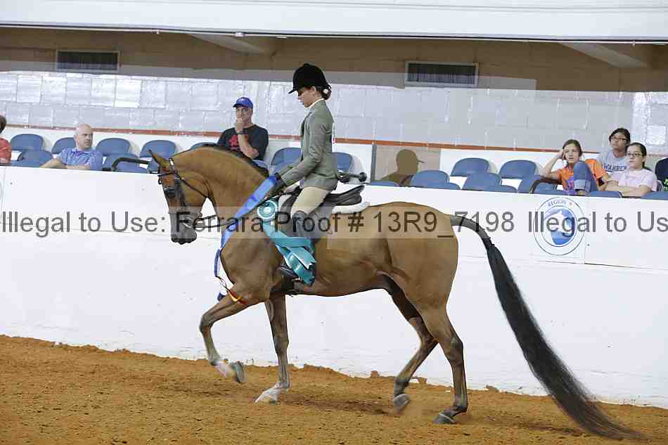 Proof 13r9_7198