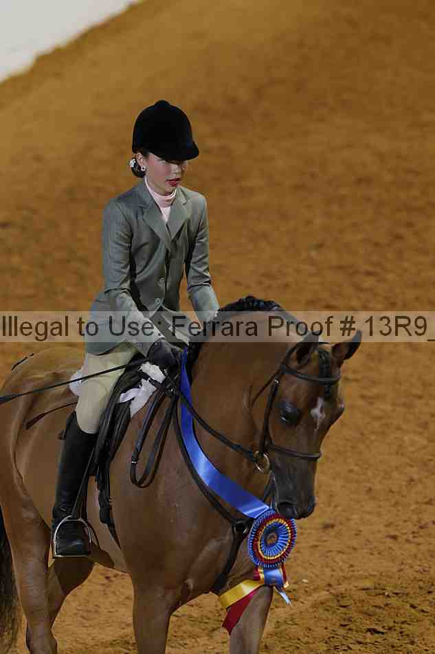 Proof 13r9_7203