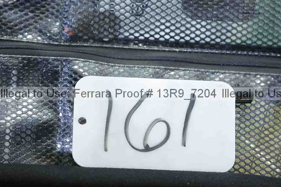 Proof 13r9_7204