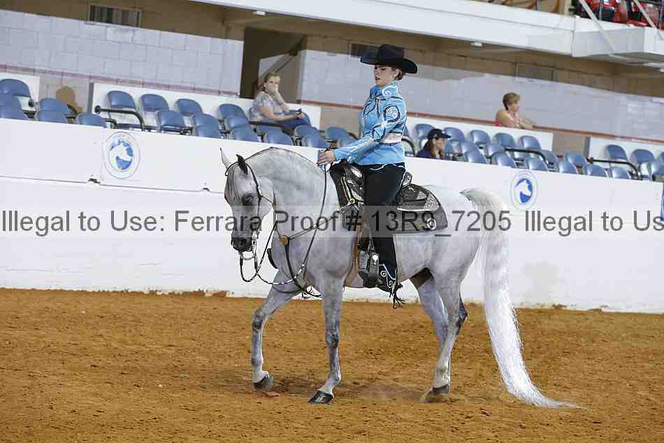 Proof 13r9_7205