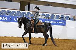 13r9_7209 proof