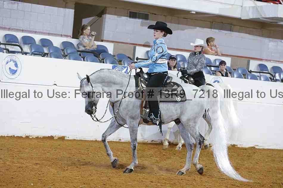 Proof 13r9_7218