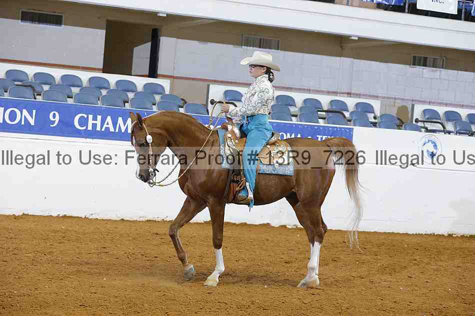 Proof 13r9_7226