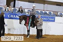 13r9_7233 proof