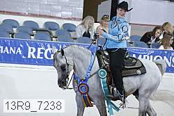 13r9_7238 proof