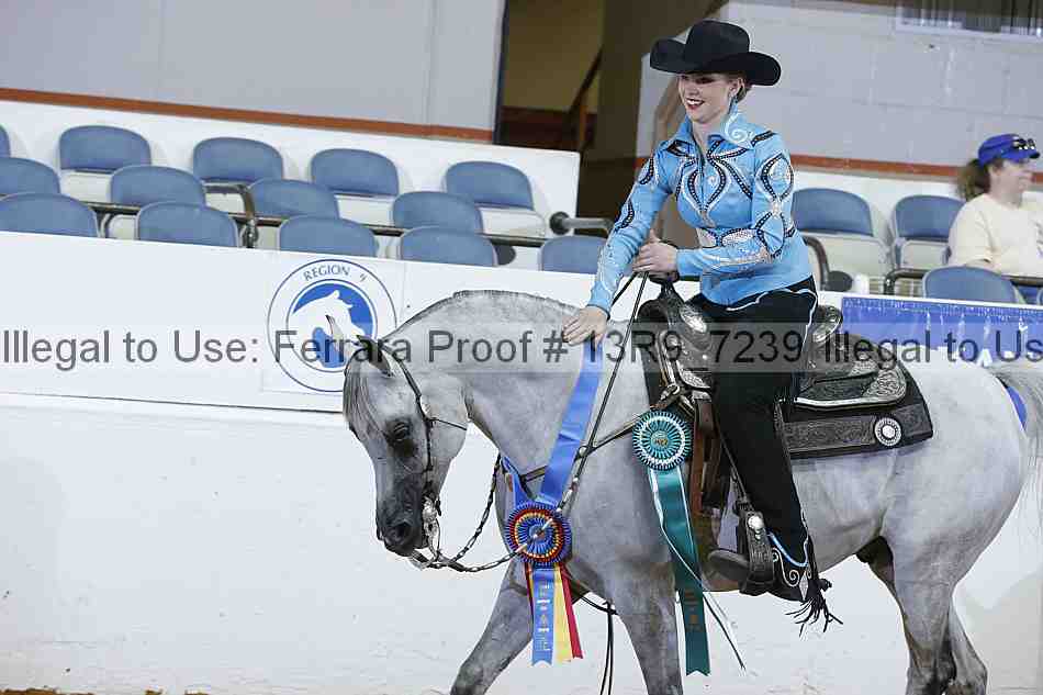 Proof 13r9_7239